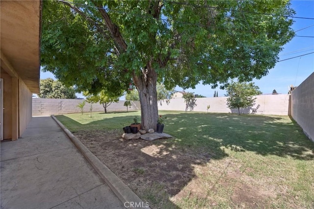 2616 Lynwood St, Bakersfield, CA 93306 - view of fenced backyard