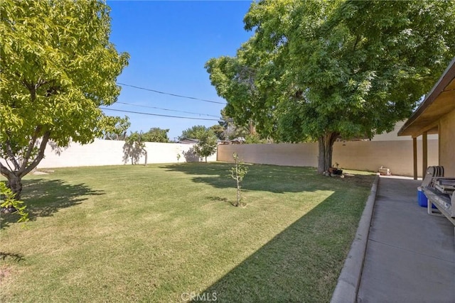 2616 Lynwood St, Bakersfield, CA 93306 - view of fenced backyard