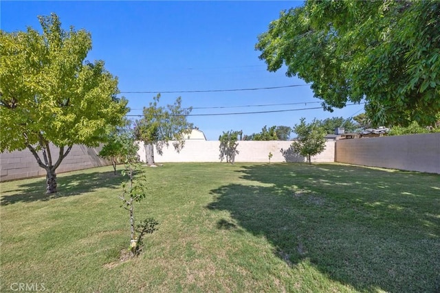 2616 Lynwood St, Bakersfield, CA 93306 - view of fenced backyard