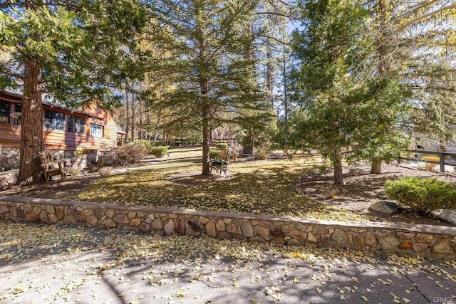 39654 Flicker Rd, Fawnskin, CA 92333 - view of yard