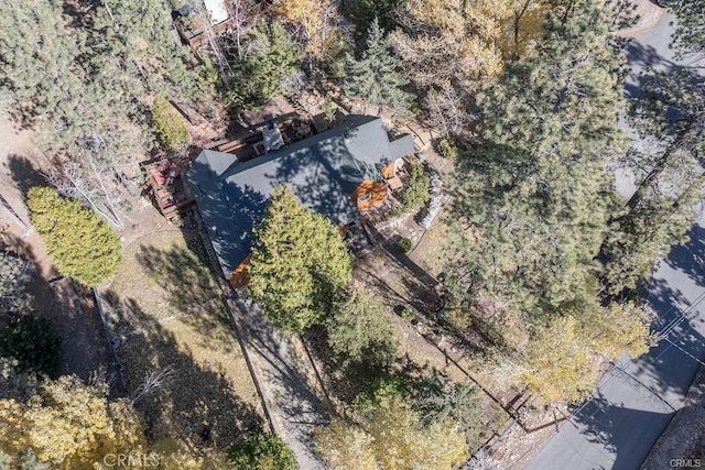 39654 Flicker Rd, Fawnskin, CA 92333 - aerial view of property and surrounding area