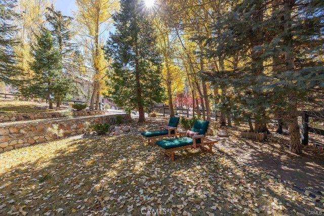 39654 Flicker Rd, Fawnskin, CA 92333 - view of yard