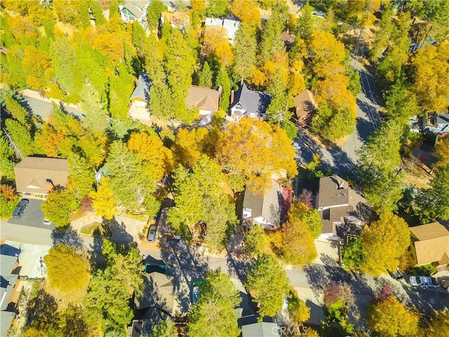 1126 Aleutian Dr, Lake Arrowhead, CA 92352 - aerial view of residential area