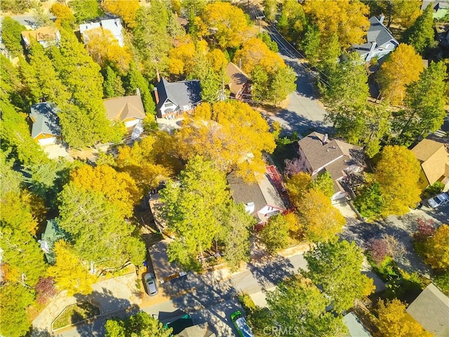 1126 Aleutian Dr, Lake Arrowhead, CA 92352 - bird's eye view