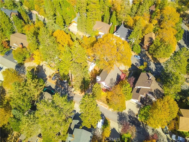 1126 Aleutian Dr, Lake Arrowhead, CA 92352 - aerial perspective of suburban area