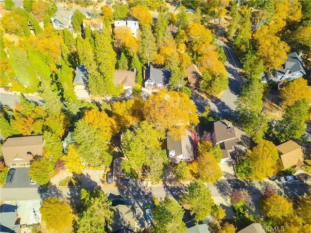 1126 Aleutian Dr, Lake Arrowhead, CA 92352 - aerial perspective of suburban area