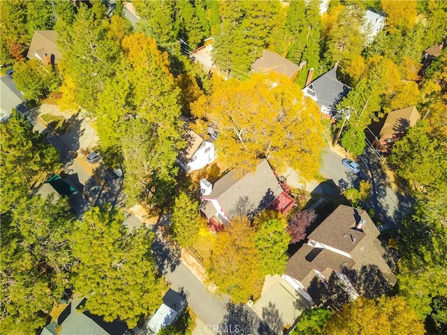 1126 Aleutian Dr, Lake Arrowhead, CA 92352 - drone / aerial view