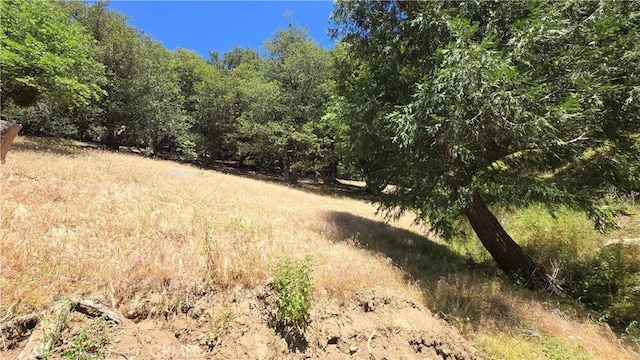 0 Hope Ln, Cedarpines Park, CA 92322