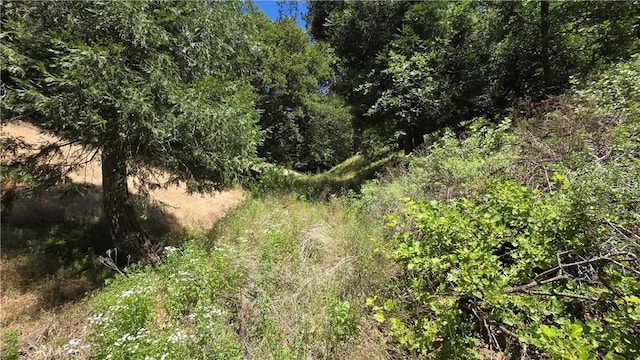 0 Hope Ln, Cedarpines Park, CA 92322