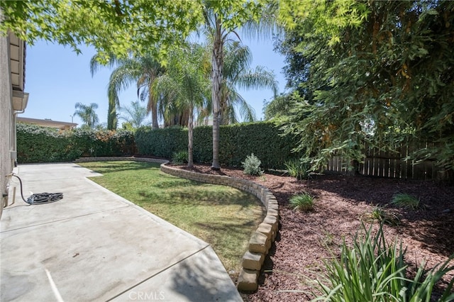 2925 E El Paso Ave, Fresno, CA 93720 - fenced backyard with a patio area