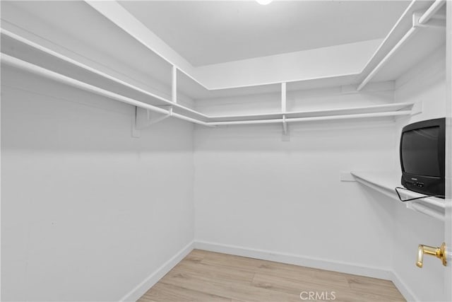 4949 Genesta Ave Unit 102, Encino, CA 91316 - walk in closet featuring light wood-style floors