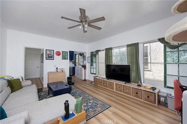 28 Argonne Ave, Long Beach, CA 90803 - living area with wood finished floors, ceiling fan, and crown molding
