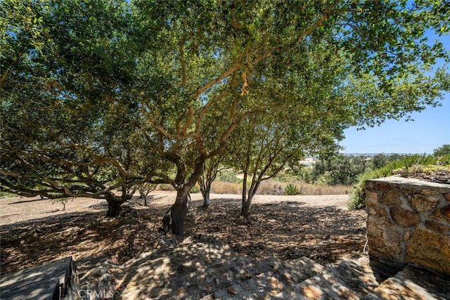 665 Sheehy Rd, Nipomo, CA 93444 - view of yard