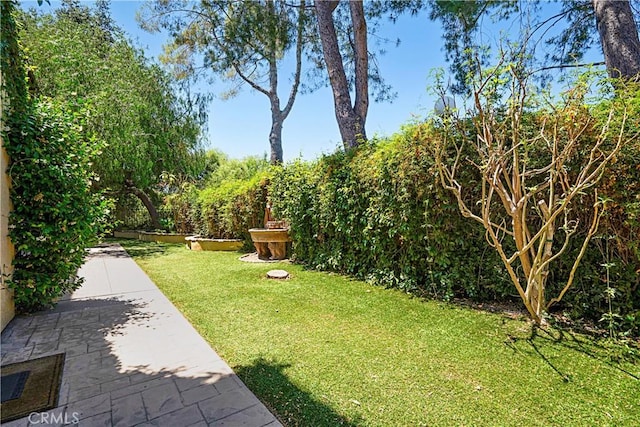 26675 Country Creek Ln, Calabasas, CA 91302 - view of green lawn featuring a patio