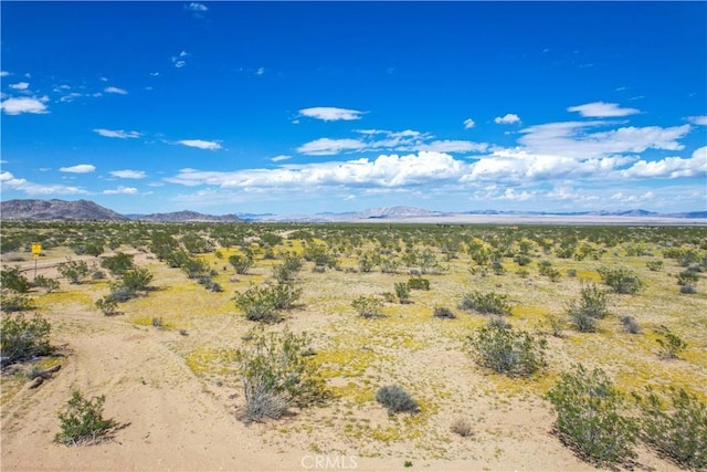 61100 Handley Rd, Landers, CA 92285