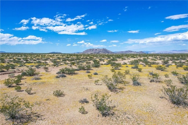61100 Handley Rd, Landers, CA 92285