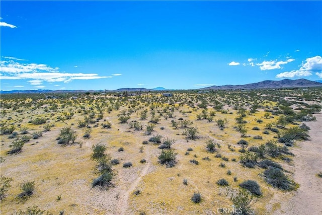 61100 Handley Rd, Landers, CA 92285