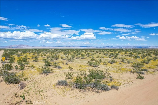 61100 Handley Rd, Landers, CA 92285