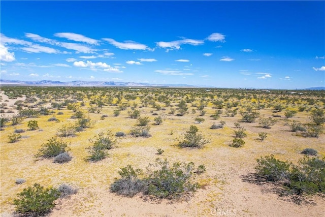 61100 Handley Rd, Landers, CA 92285