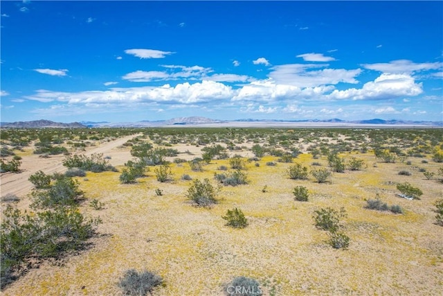 61100 Handley Rd, Landers, CA 92285