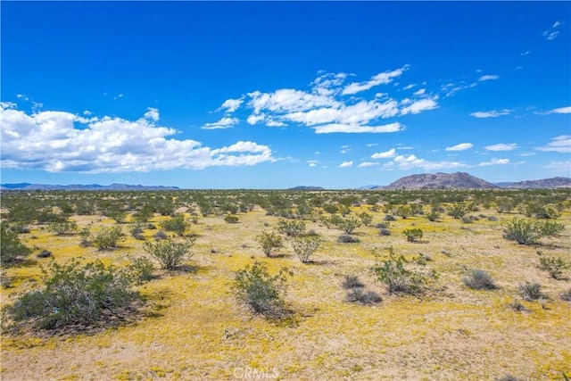 61100 Handley Rd, Landers, CA 92285