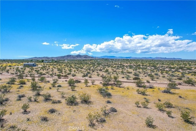 61100 Handley Rd, Landers, CA 92285
