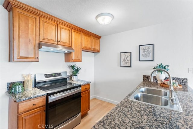 21951 Rimhurst Dr Unit F201, Lake Forest, CA 92630 - kitchen featuring stainless steel electric range oven, under cabinet range hood, light wood-style floors, and brown cabinetry
