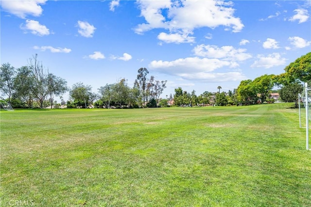 21951 Rimhurst Dr Unit F201, Lake Forest, CA 92630 - view of yard