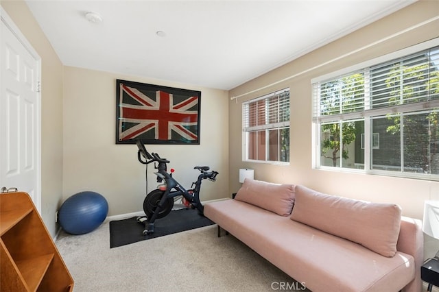 29 Quartz Ln, Ladera Ranch, CA 92694 - exercise area with carpet flooring and baseboards
