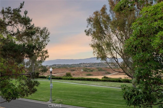 61 Clermont, Newport Coast, CA 92657 - mountain view
