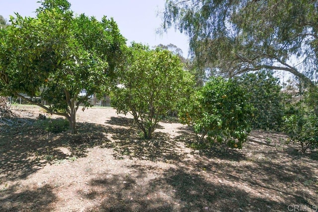 3096 Coral Tree Ln, Fallbrook, CA 92028 - view of local wilderness