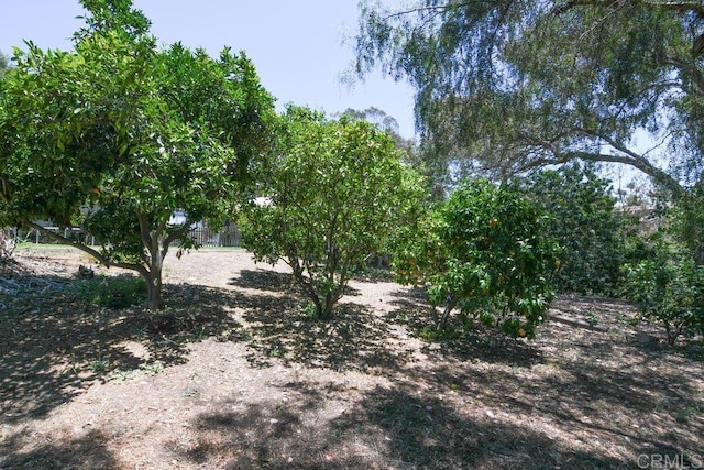 3096 Coral Tree Ln, Fallbrook, CA 92028 - view of undeveloped land