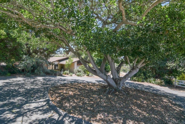 3096 Coral Tree Ln, Fallbrook, CA 92028 - view of property hidden behind natural elements