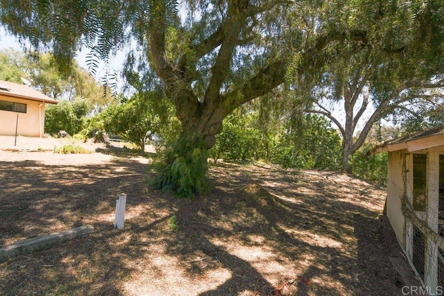 3096 Coral Tree Ln, Fallbrook, CA 92028 - view of yard