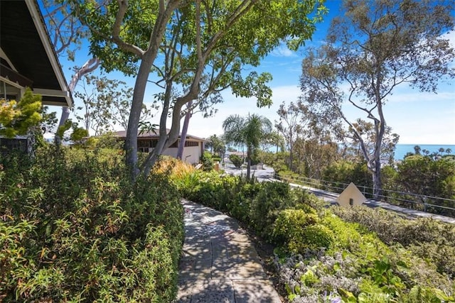 625 High Dr, Laguna Beach, CA 92651 - view of community