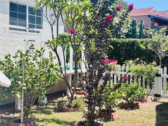1809 S 5th St, Alhambra, CA 91803 - view of yard