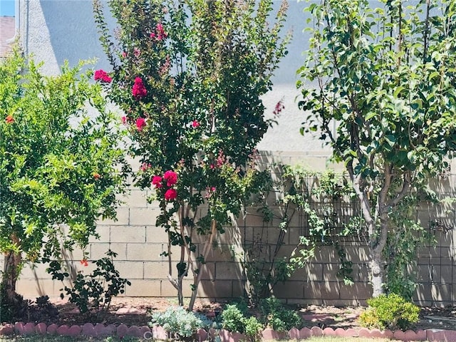 1809 S 5th St, Alhambra, CA 91803 - view of home's exterior