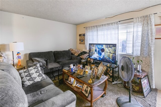 351 W 19th St, Merced, CA 95340 - living room with a textured ceiling and carpet floors