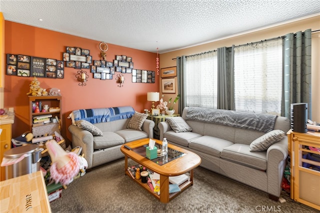 351 W 19th St, Merced, CA 95340 - carpeted living room with a textured ceiling