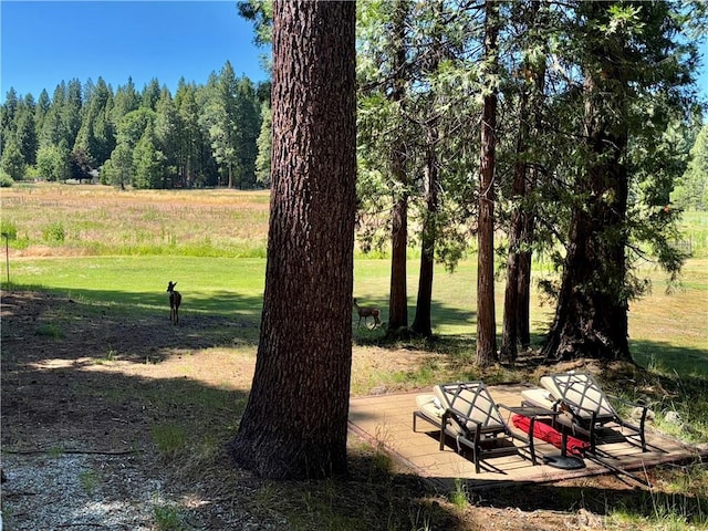 9312 Mountain Meadow Rd, Shingletown, CA 96088 - view of yard