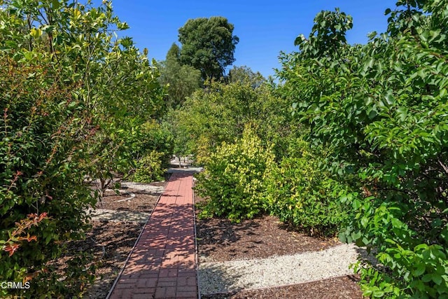 2000 Morongo Dr, Camarillo, CA 93012 - view of yard