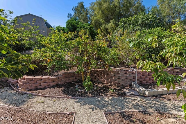 2000 Morongo Dr, Camarillo, CA 93012 - view of yard