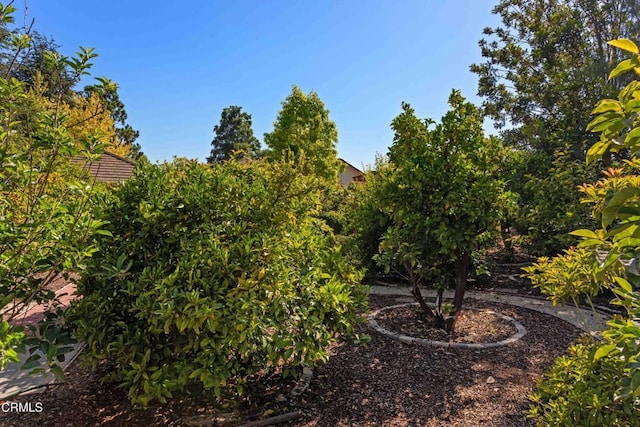 2000 Morongo Dr, Camarillo, CA 93012 - view of yard