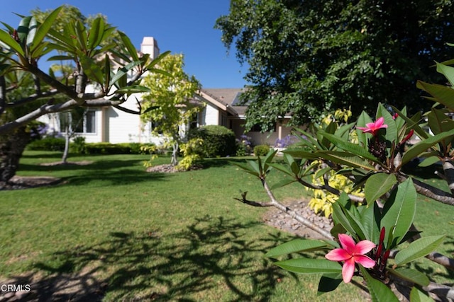 2000 Morongo Dr, Camarillo, CA 93012 - view of grassy yard