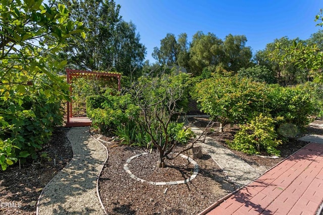 2000 Morongo Dr, Camarillo, CA 93012 - view of yard