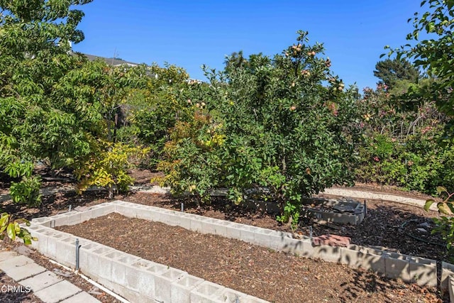2000 Morongo Dr, Camarillo, CA 93012 - view of yard featuring a vegetable garden