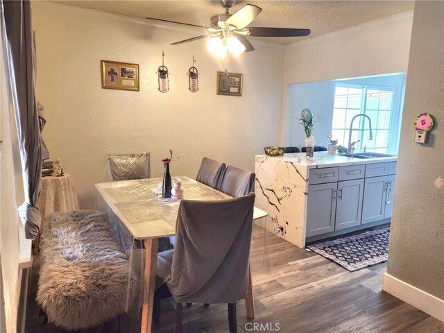 8626 Laurel Canyon Blvd, Sun Valley, CA 91352 - dining room featuring a textured wall, ornamental molding, dark wood-type flooring, a ceiling fan, and a textured ceiling