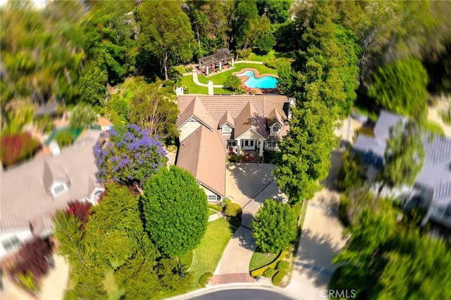 3248 Giant Frst, Chino Hills, CA 91709 - photo 69