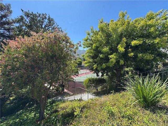1688 Palisades Dr, Pacific Palisades, CA 90272 - view of yard