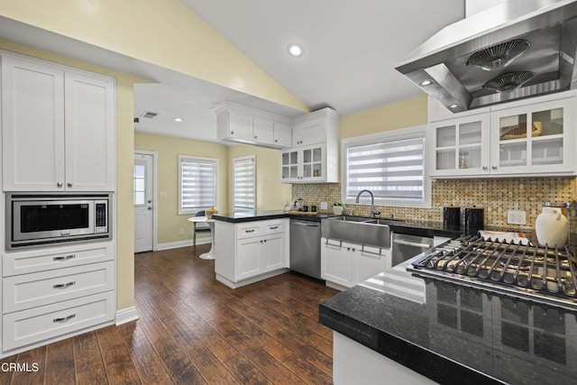 4961 Alcove Ave, Valley Village, CA 91607 - kitchen featuring custom range hood, appliances with stainless steel finishes, a peninsula, white cabinets, and vaulted ceiling